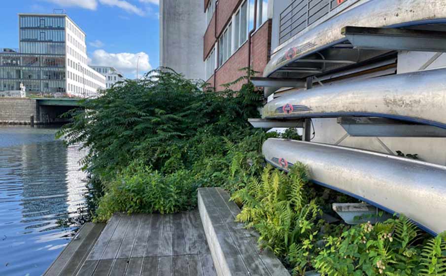 Strandperle Hans Henny Jahnn Weg 53 Hamburg